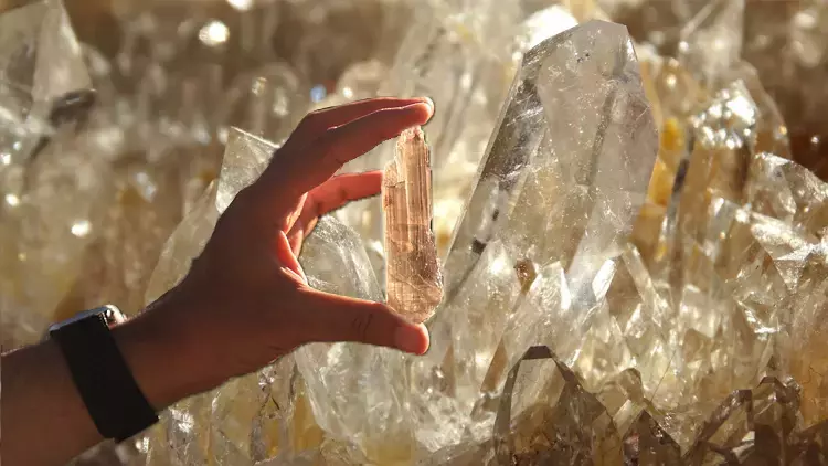 Doğanın Saklı Hazineleri